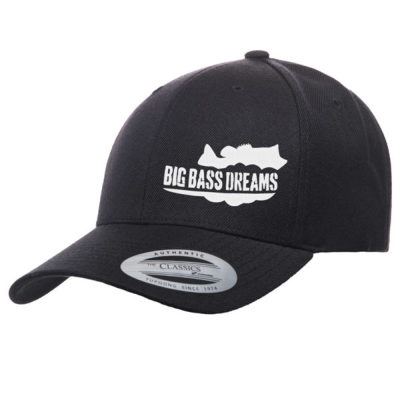 dream big hat