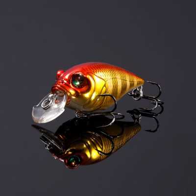 2024リストック販売商品 | Megabass - メガバス オンラインショップ