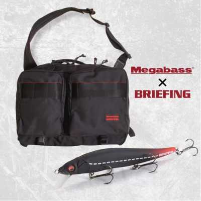 各種シーバスルアー(ケース・バッグ付き) Amazon | day-village ルアー シーバス バス釣り 釣り用 ワーム