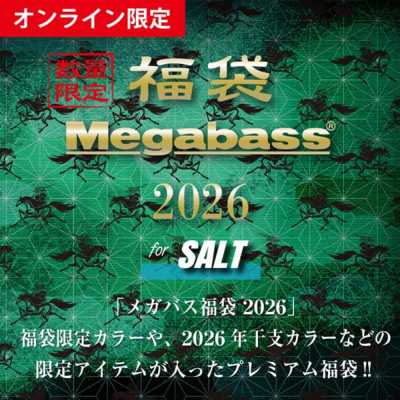 y12z2026 ONLINE SALT