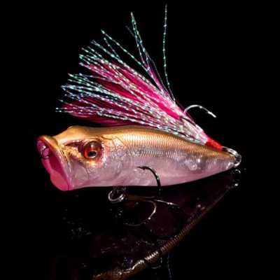 �y3����{�����z�y�I�����C������zPOPX GP �T�N���C�����[�W����