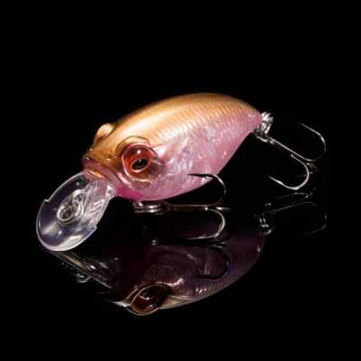 �y3����{�����z�y�I�����C������zGRIFFON BAITFINESSE SR-X GP �T�N���C�����[�W����