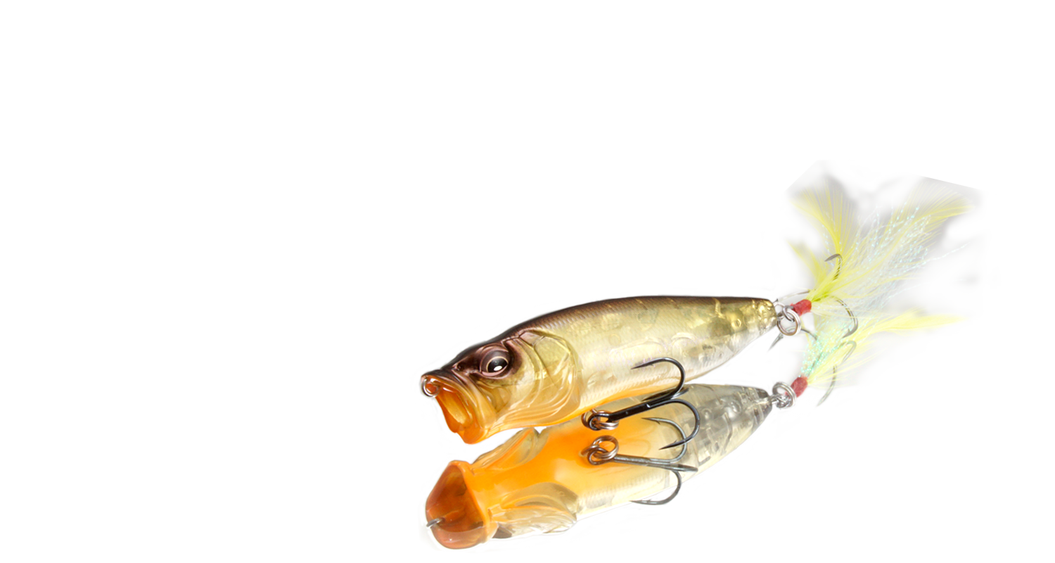 Respect 82 GP サフラン 期間限定完全受注生産