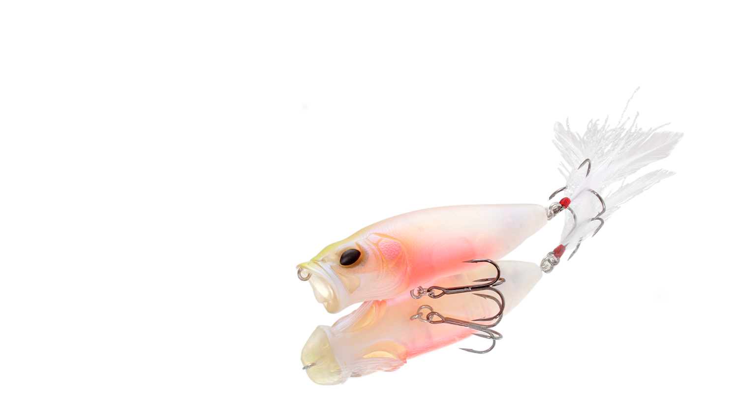 Respect 83 ベビーキンギョ 期間限定完全受注生産