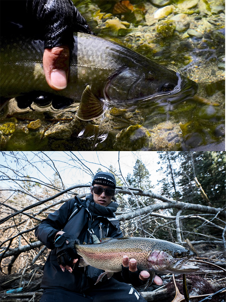 新品未開封 Megabass 究極的親父兵器格納庫 71bC+F7saAL._UF350,350_QL50_.jpg