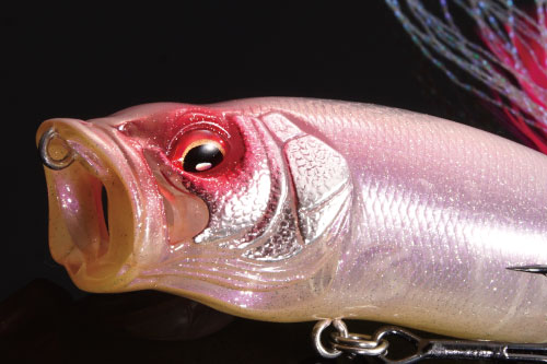 GLXS スポーンチェリー 期間限定完全受注生産 | Megabass - メガバス