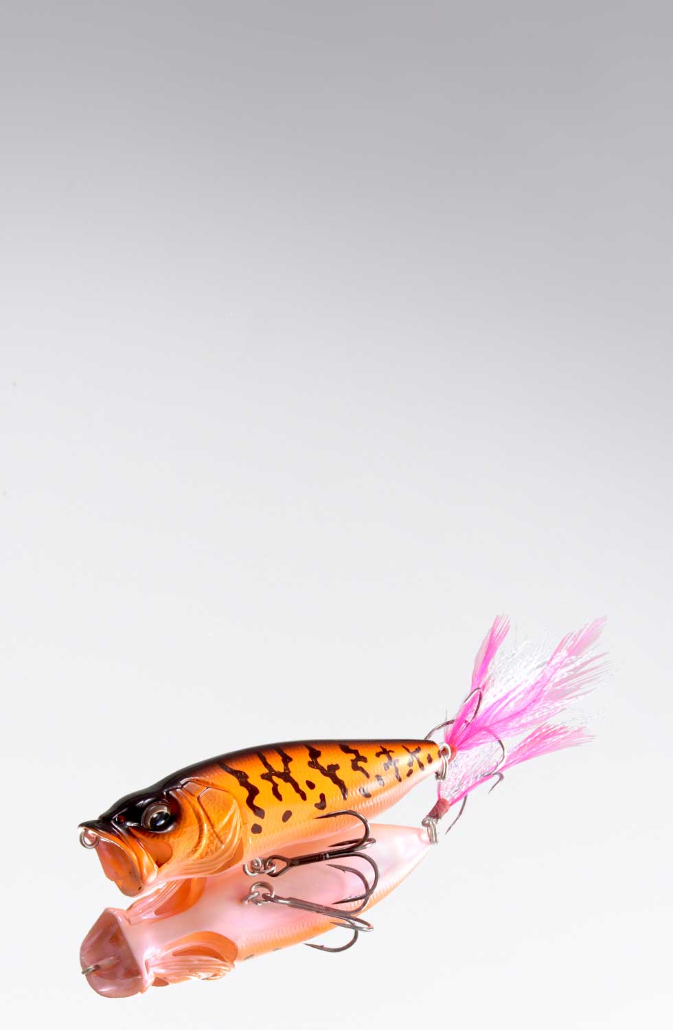 ミッカビコーチ 期間限定完全受注生産 | Megabass - メガバス