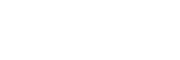 DOGMAX crafted color chart