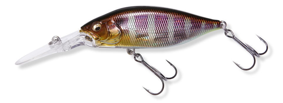 DEEP-X 200 LBO