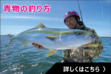 青物の釣り方