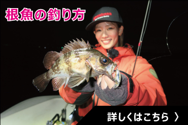 根魚の釣り方