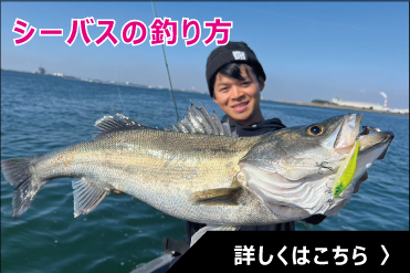 シーバスの釣り方