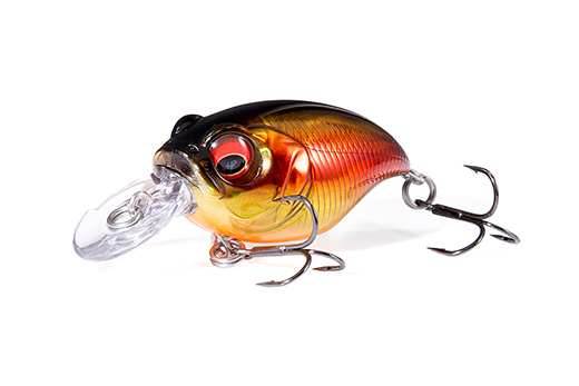 はじめてのバス釣り（春） | Megabass - メガバス オンラインショップ