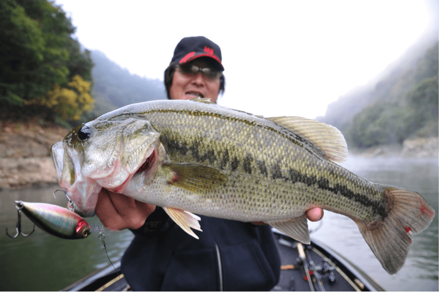 Deep-X | History of Megabass | Megabass - メガバス オンラインショップ