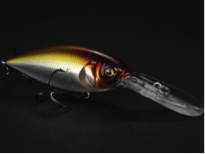 Deep-X | History of Megabass | Megabass - メガバス オンラインショップ