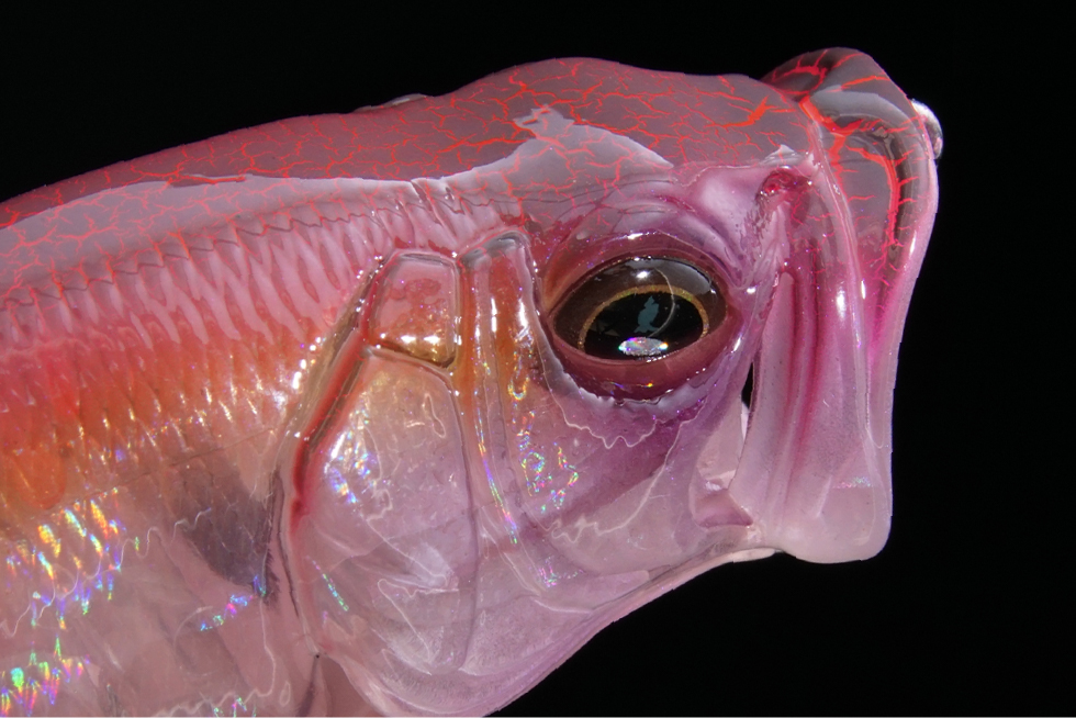 リスペクトカラー3rdステージ（第35弾）CRACK SAND（クラックサンド