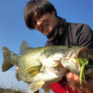 リスペクトカラー4thステージ（第37弾）GG MOSS ORE（モスオレ） 期間