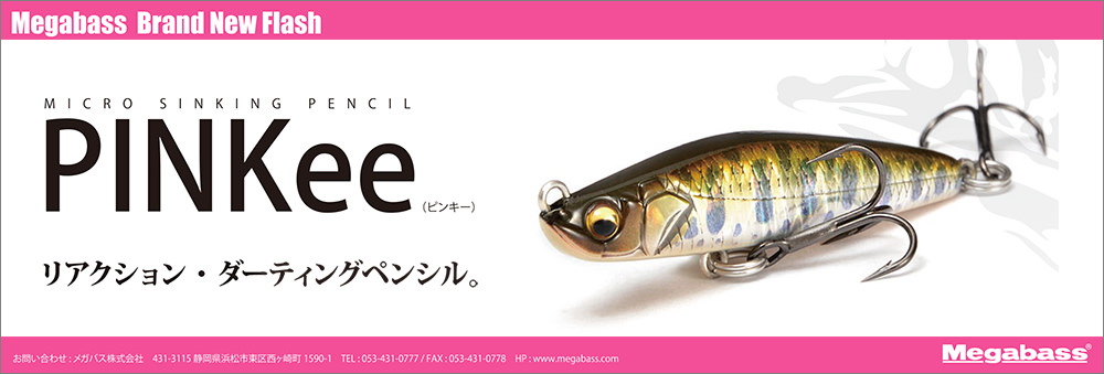 海外モデル限定販売！】多魚種対応のジャーク＆トゥイッチメソッド専用