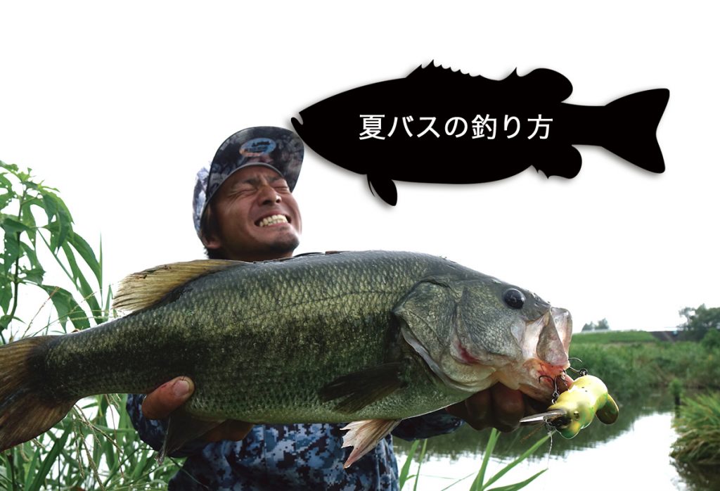 はじめてのバス釣り 夏 Megabass メガバス オンラインショップ