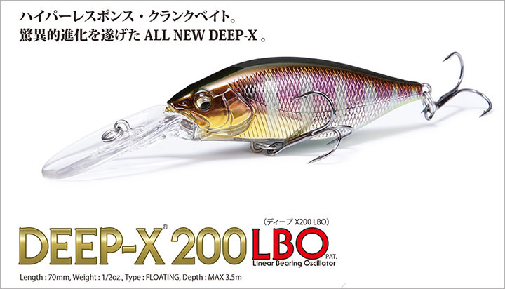 DEEP-X 200 LBO(ディープX 200 LBO)