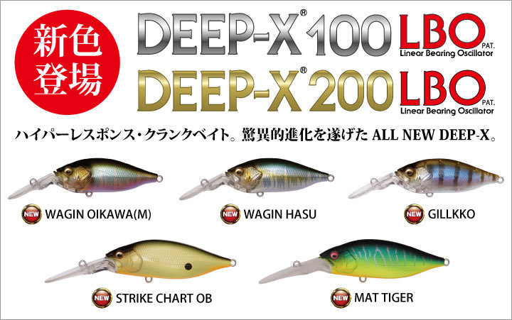DEEP-X100/200LBO