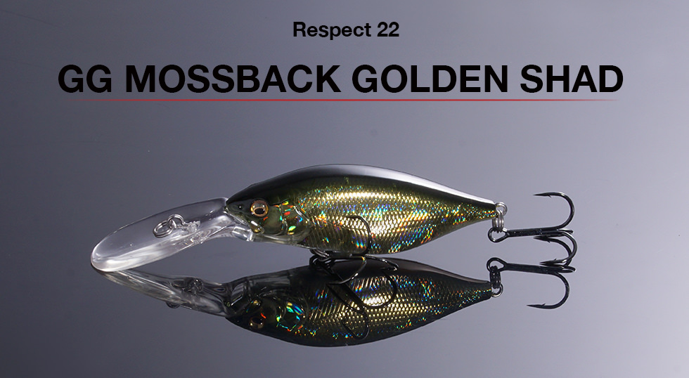 リスペクトカラー2ndステージ（第22弾）MOSSBACK GOLDEN SHAD（モスバックゴールデンシャッド）　 期間限定完全受注生産