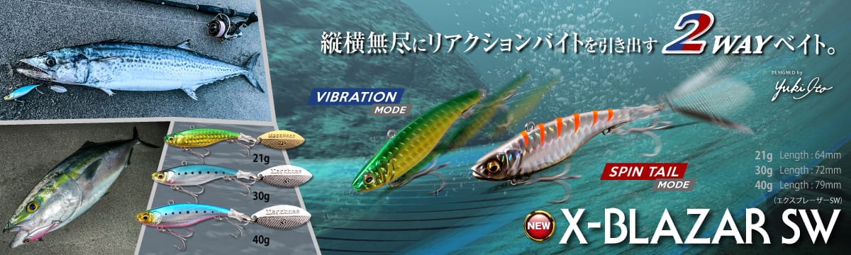 X-BLAZAR SW