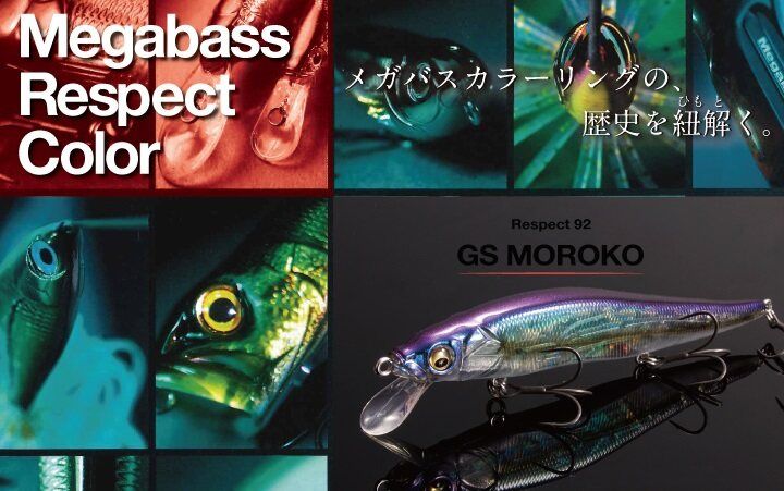 GS MOROKO