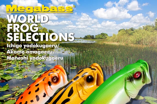 WORLD FROG SELECTION 2026