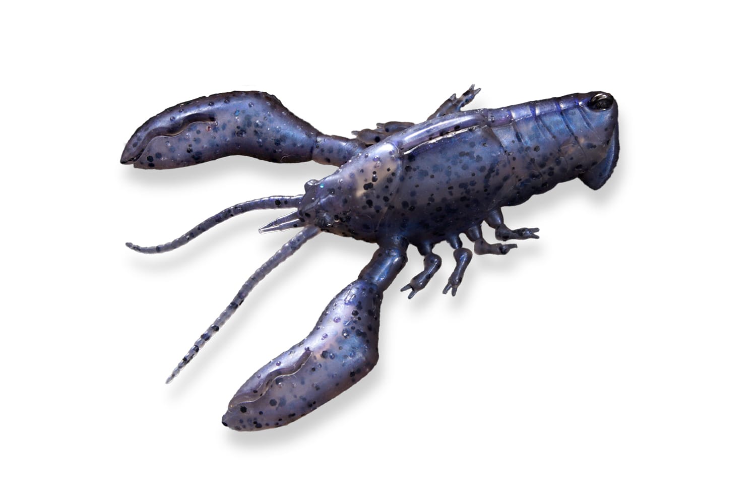 SLEEPER CRAW