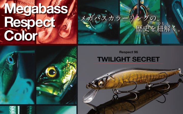 TWILIGHT SECRET